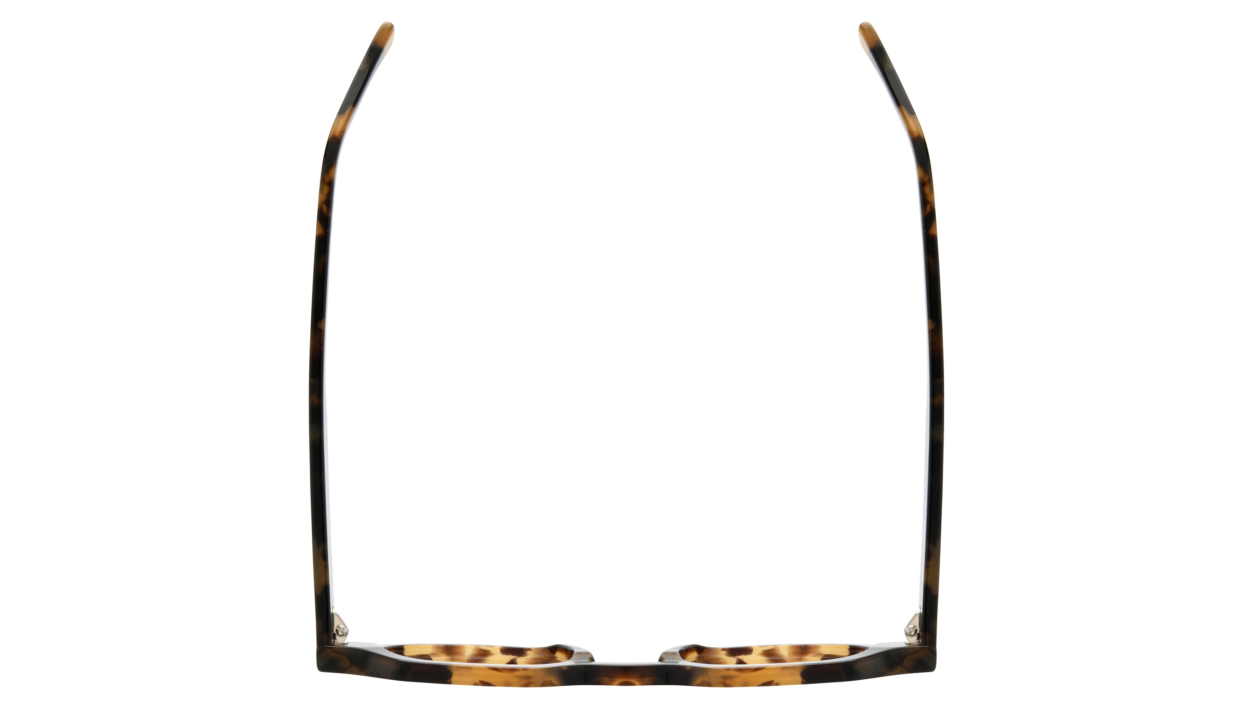 Lunettes de vue La Collection des Lunetiers Mixte Ecaille Pantos LEA Dessus