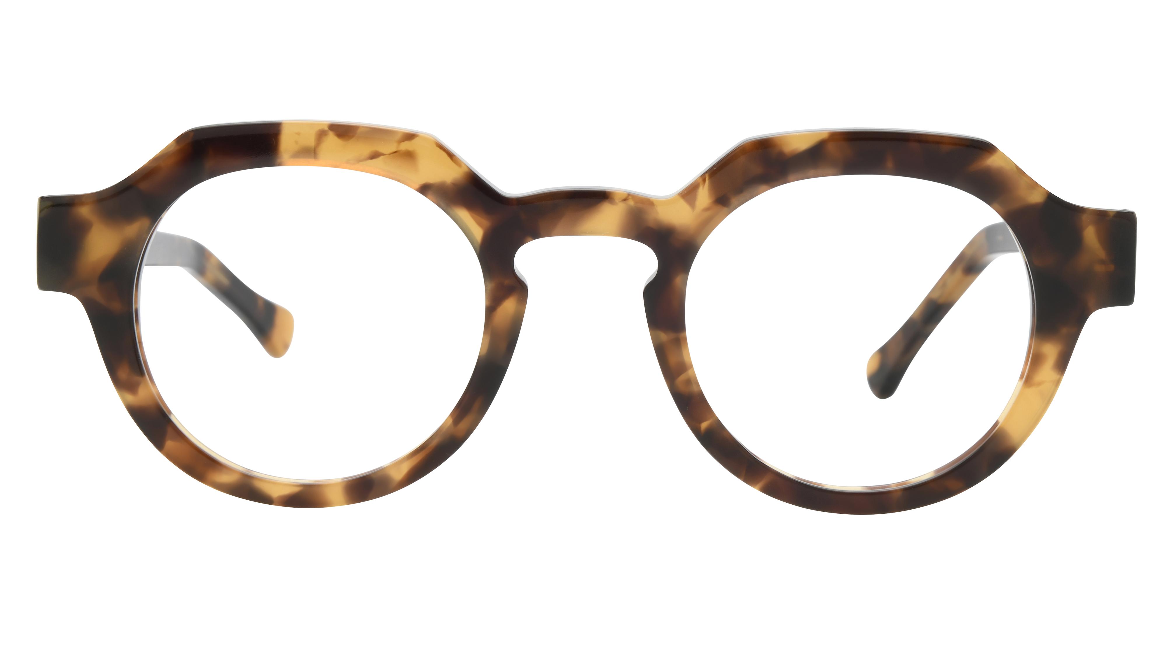 Lunettes de vue La Collection des Lunetiers Mixte Ecaille Pantos LEA Face
