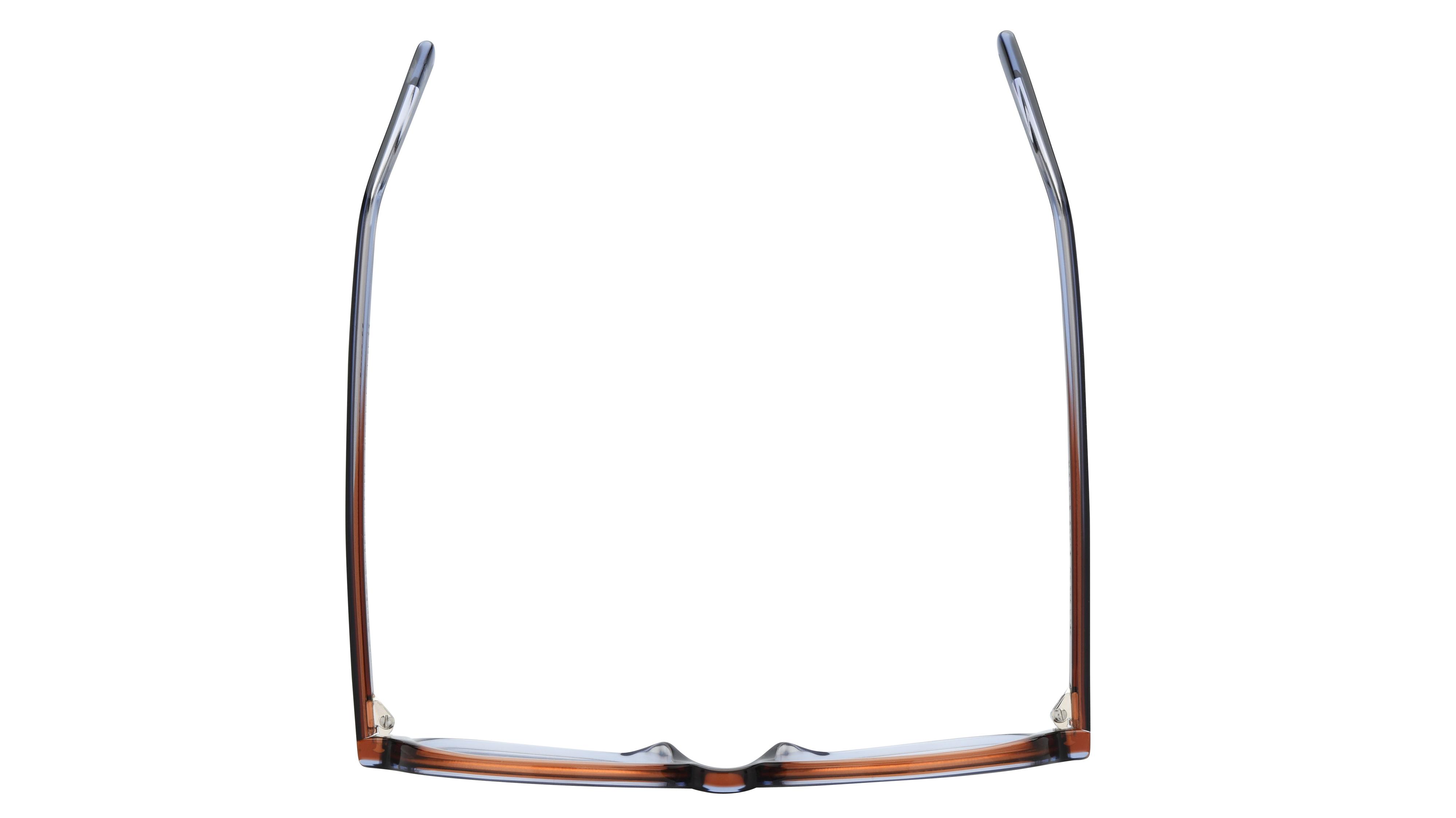 Lunettes de vue La Collection des Lunetiers Femme  Carré MAXINE	244	BRUN Dessus