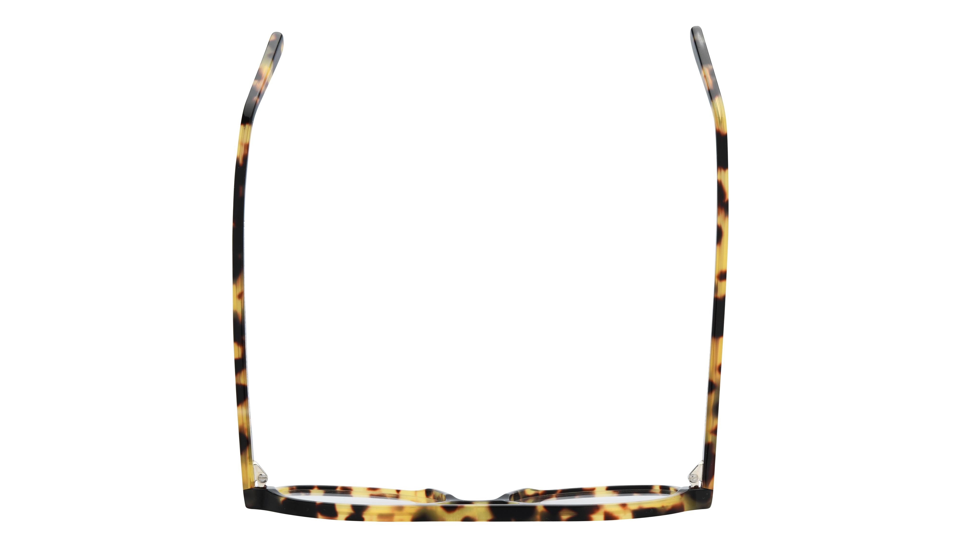 Lunettes de vue La Collection des Lunetiers Mixte Ecaille Arrondie OLIVE Dessus