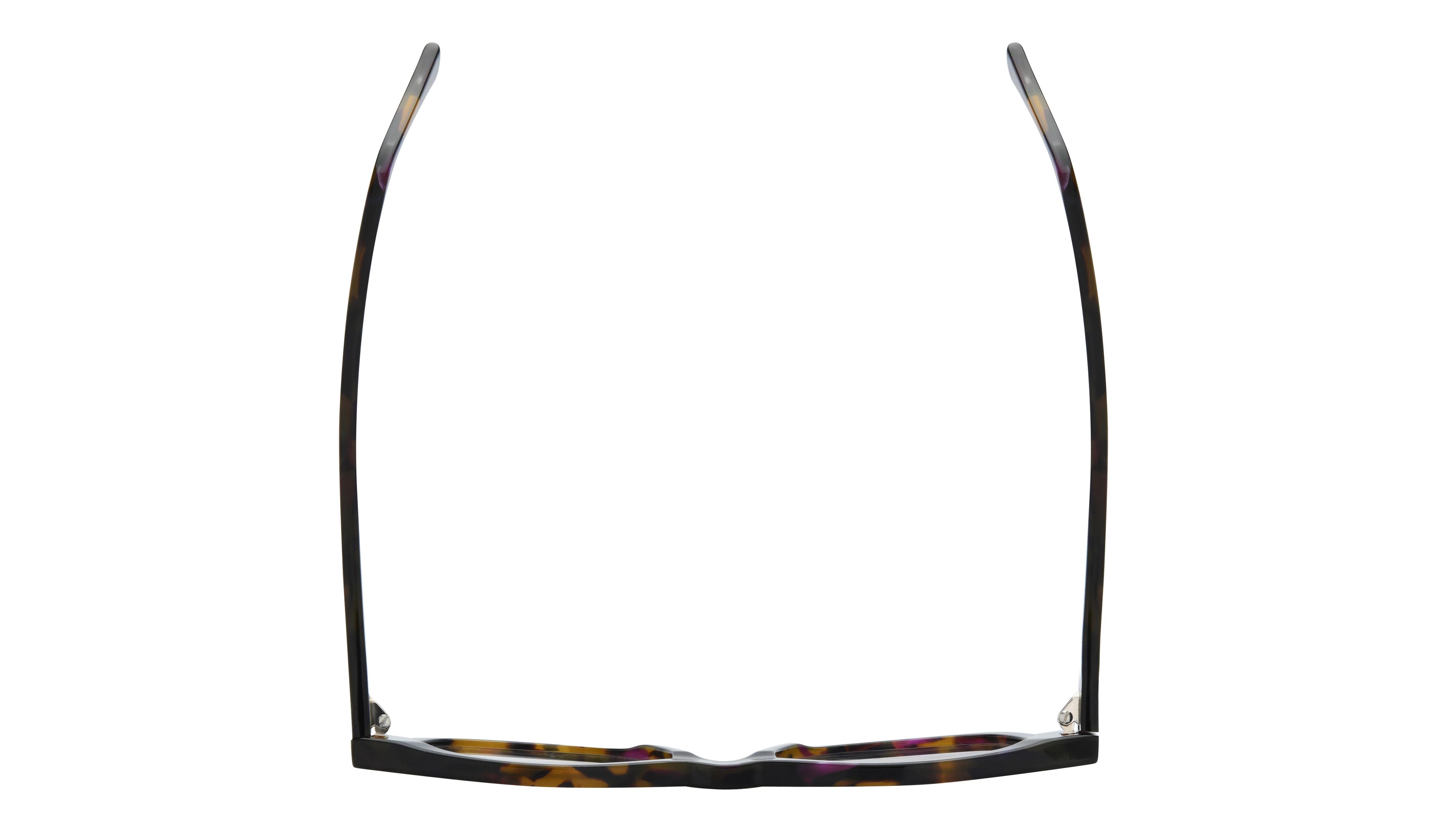 Lunettes de vue La Collection des Lunetiers Femme Ecaille Carré BLEUENN Dessus