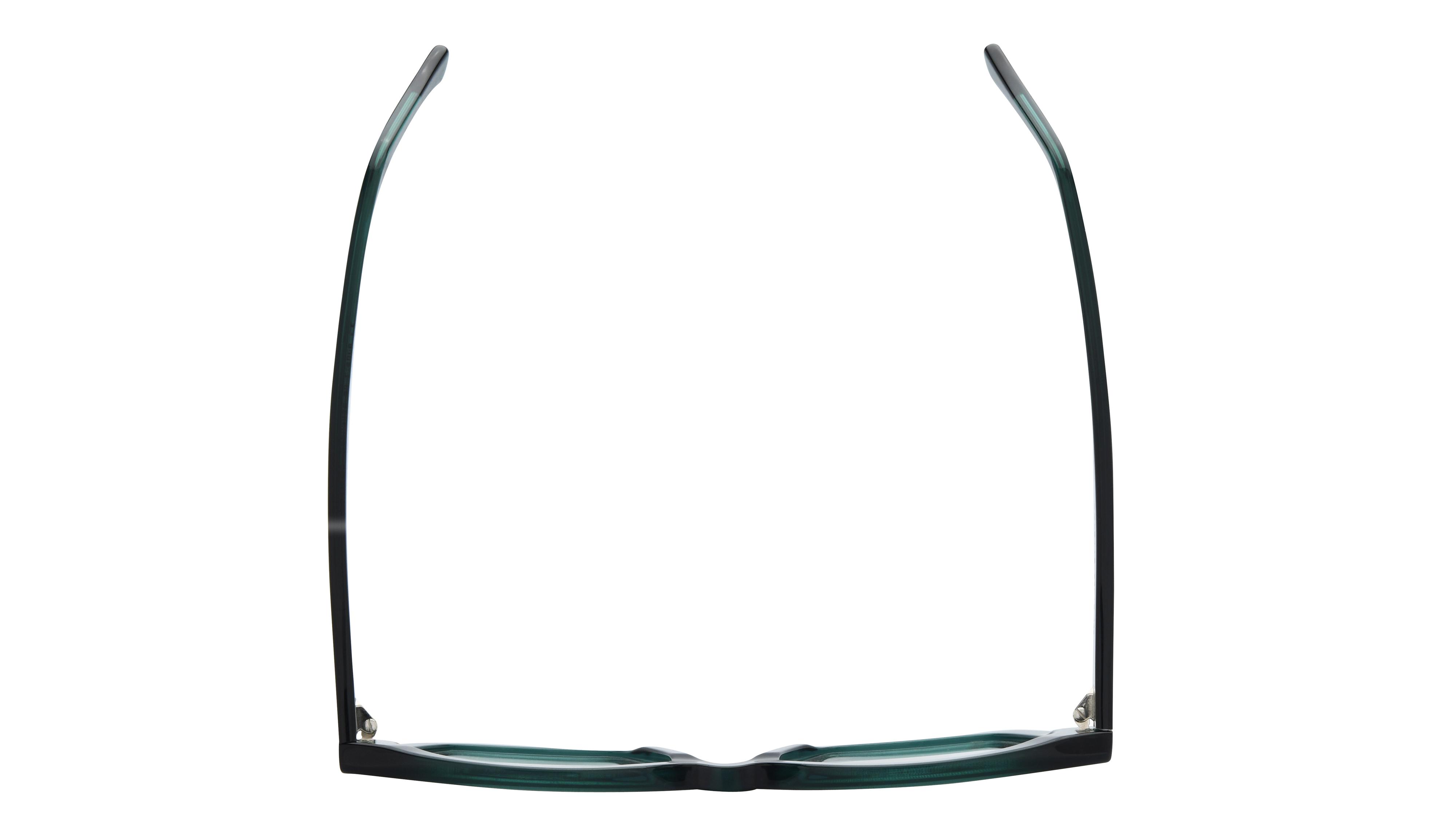 Lunettes de vue La Collection des Lunetiers Femme Vert Papillon COLETTE Dessus