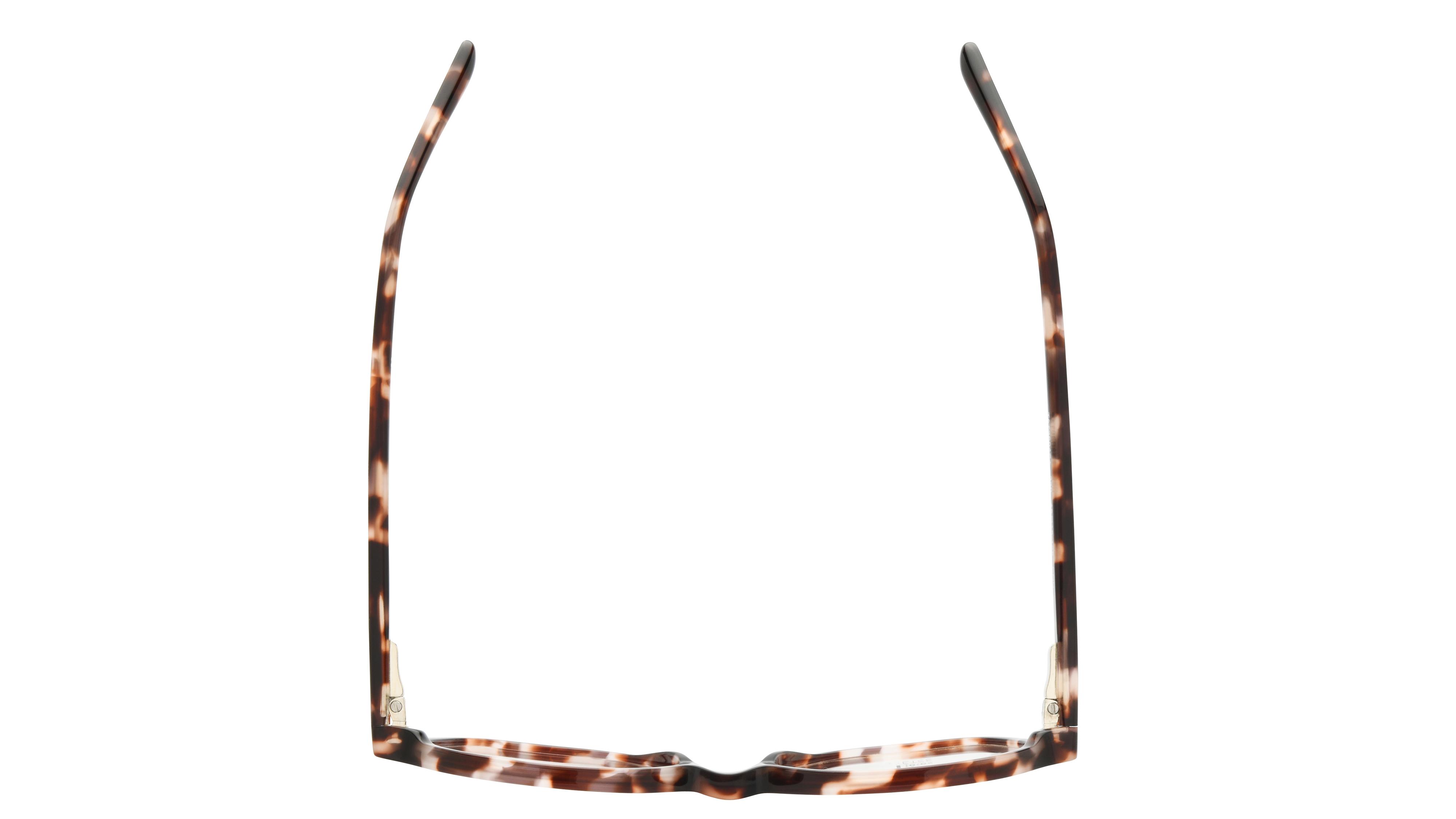 Lunettes de vue têtes à TETES Enfant Ecaille Tonneau Tat2604E+ Dessus
