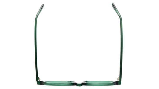 Lunettes de vue La Collection des Lunetiers Femme Vert Rond MANON Dessus