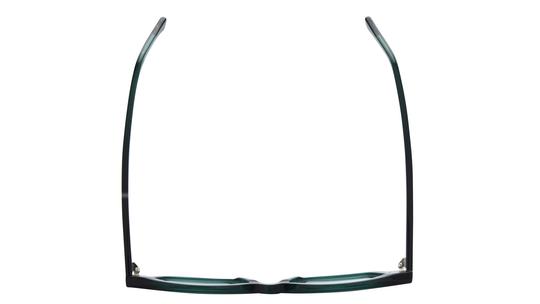 Lunettes de vue La Collection des Lunetiers Femme Vert Papillon COLETTE Dessus
