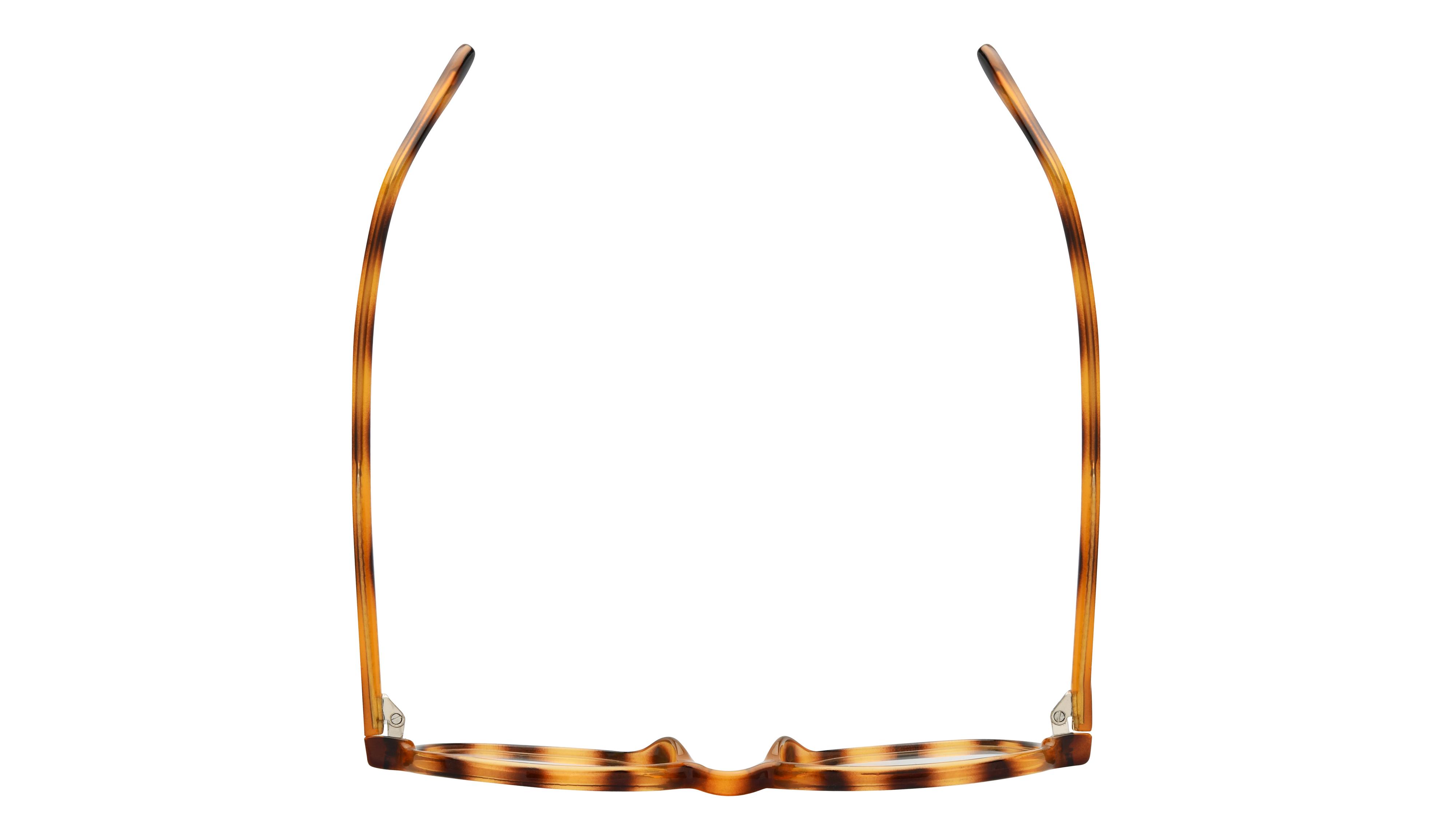 Lunettes de vue Alternance Femme Ecaille Tonneau alt26111 Dessus