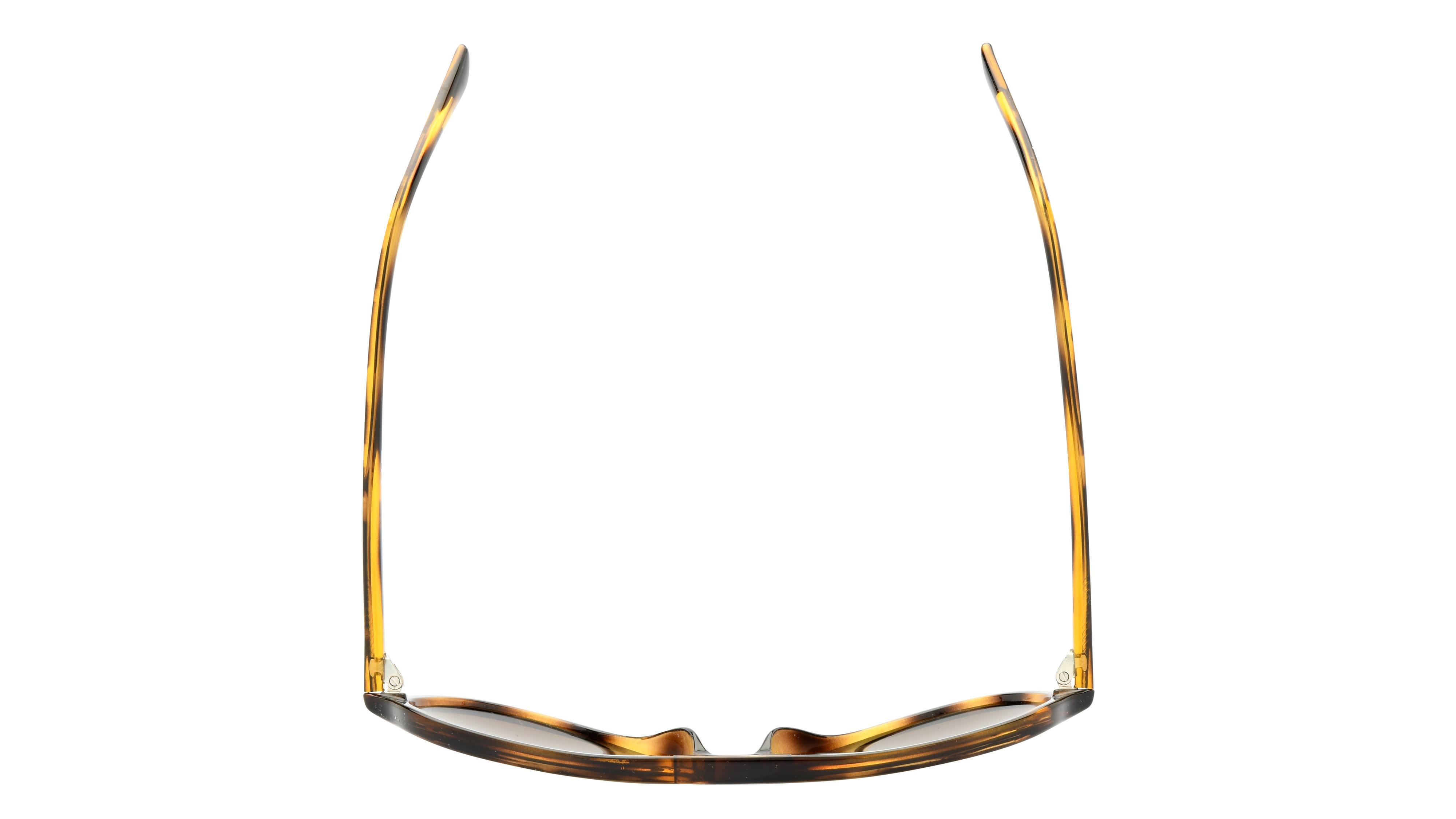 Lunettes de soleil Alternance Homme Ecaille Aviateur Alt24206 Dessus