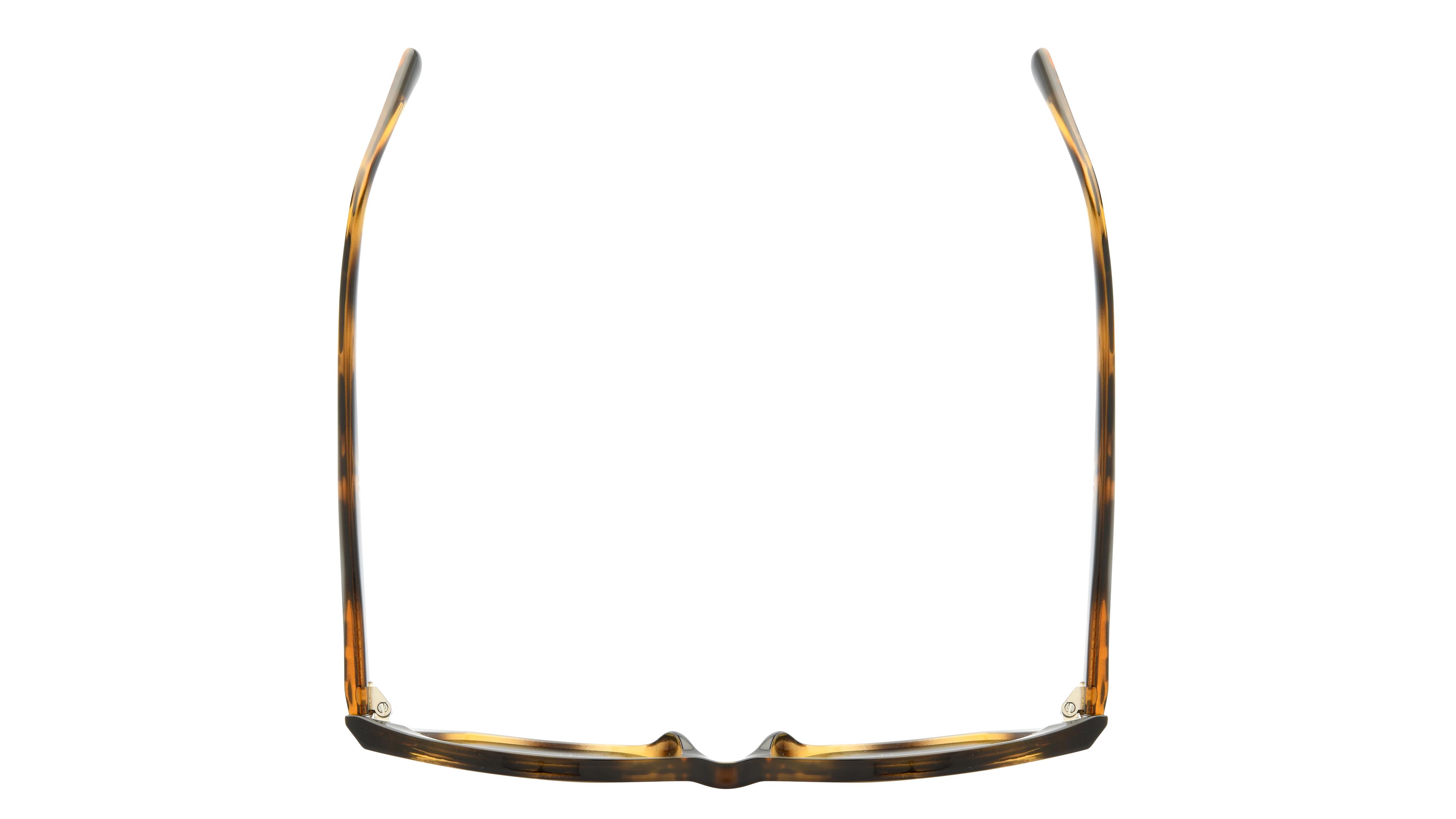 Lunettes de soleil Alternance Femme Ecaille Papillon Alt24203 Dessus