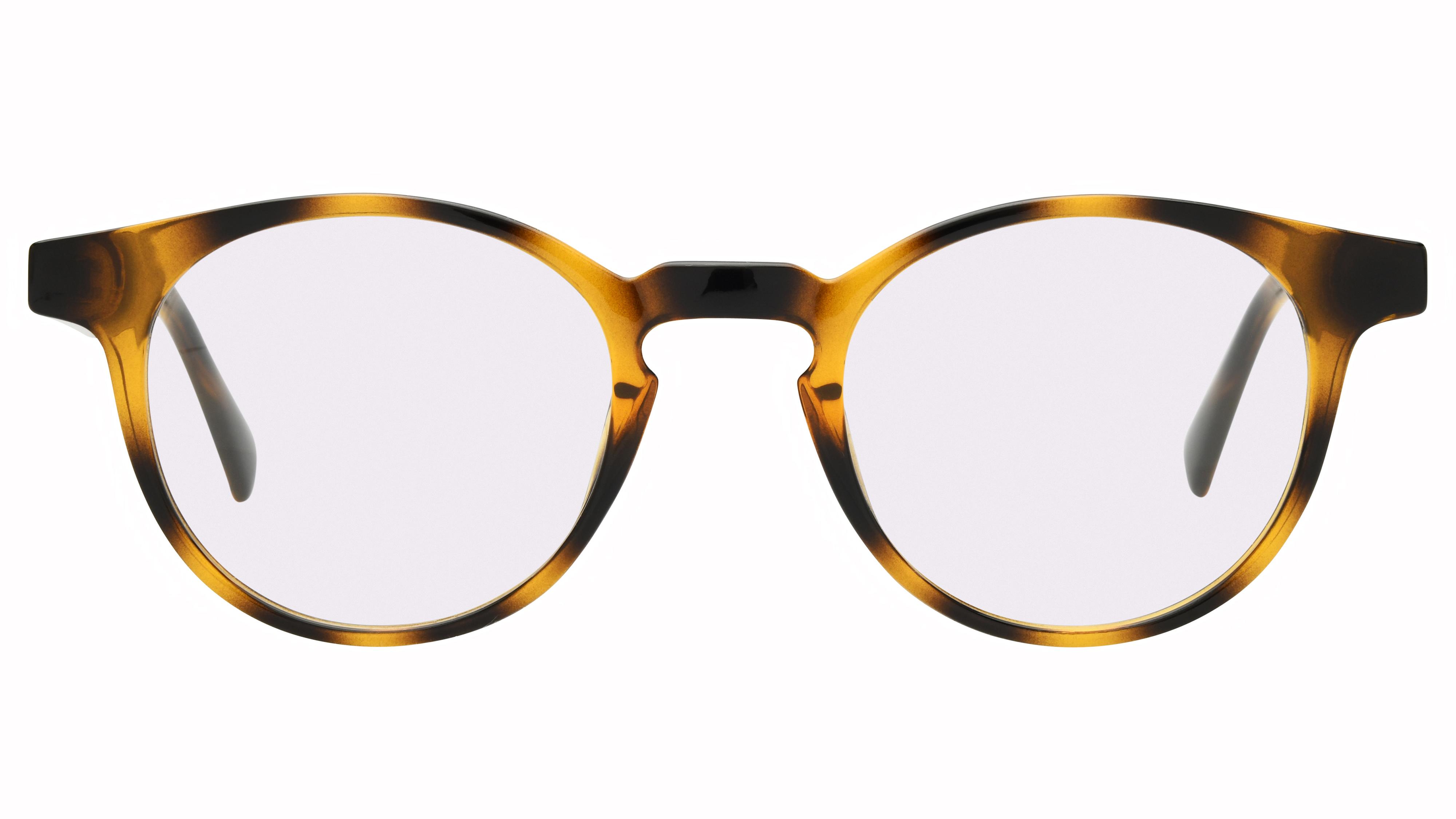 Lunettes de vue têtes à TETES Homme Ecaille Pantos tat2604 Face