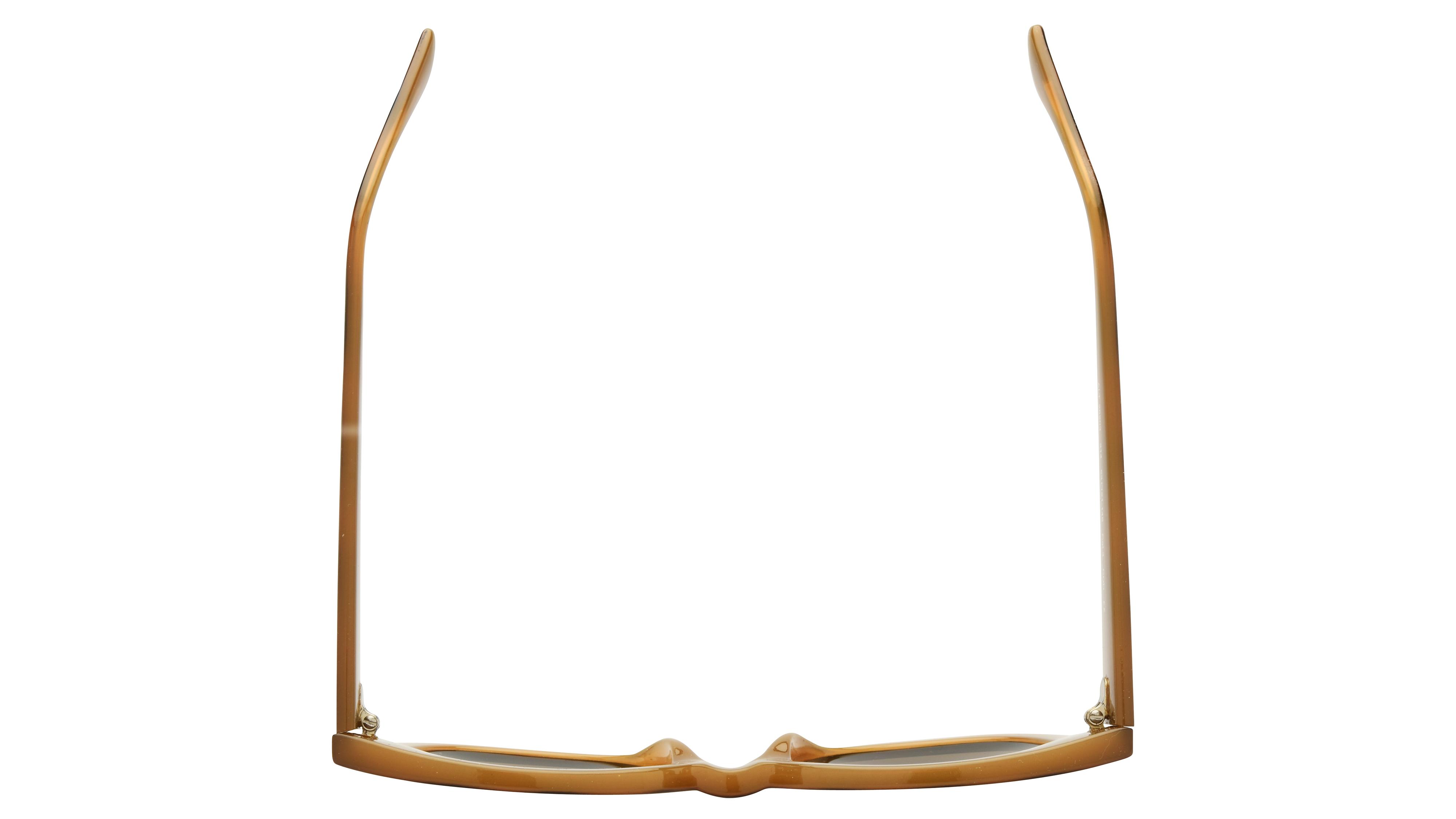 Lunettes de soleil Alternance Femme Marron Papillon alt26203 Dessus