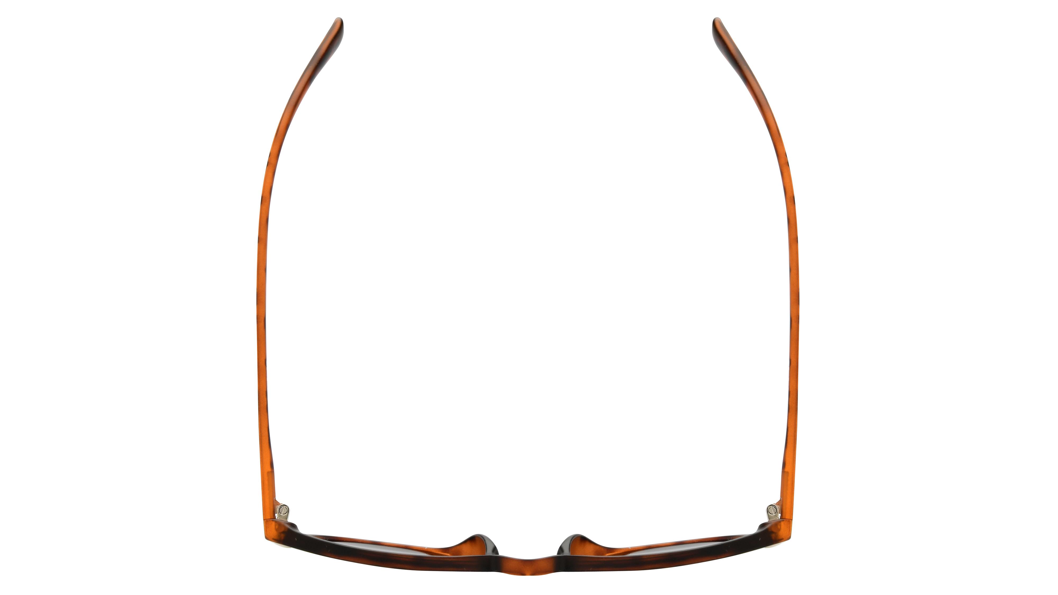 Lunettes de soleil VIP Enfant Ecaille Pantos Vip2514 Dessus