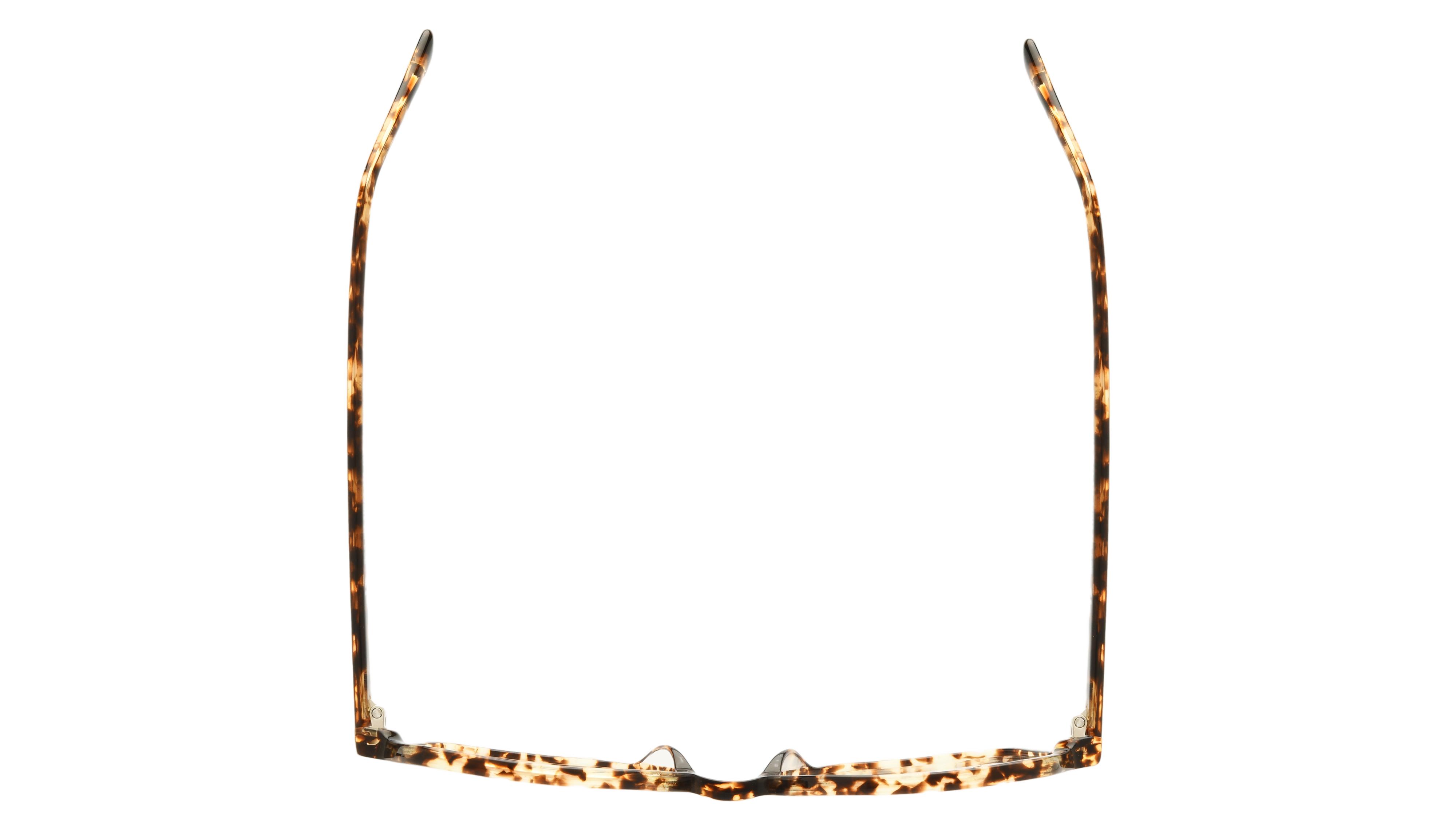 Lunettes de vue La Paresseuse Femme Ecaille Carré Par2501 Dessus
