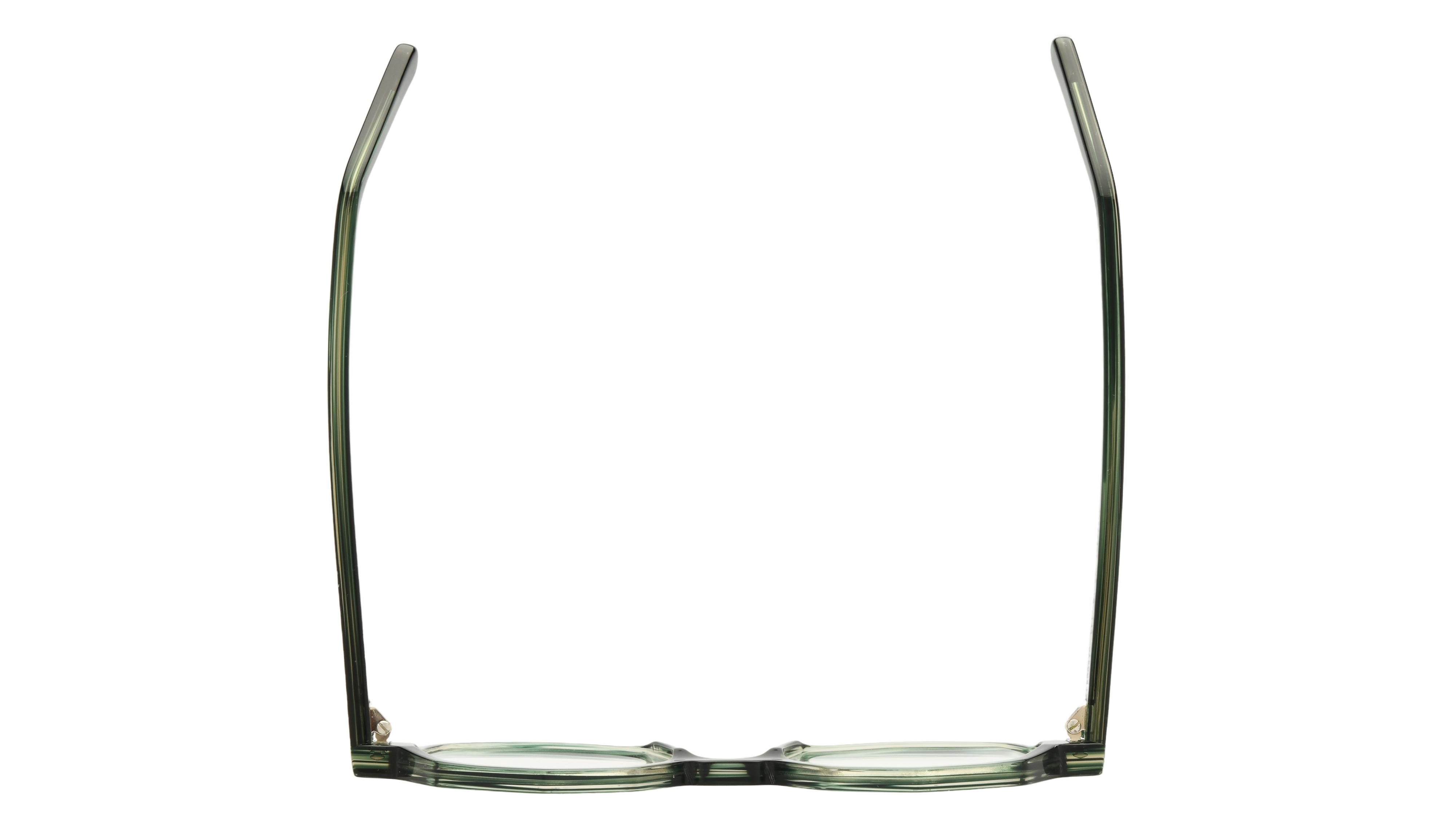 Lunettes de vue La Collection des Lunetiers Homme Vert Ronde STEPHANE Dessus