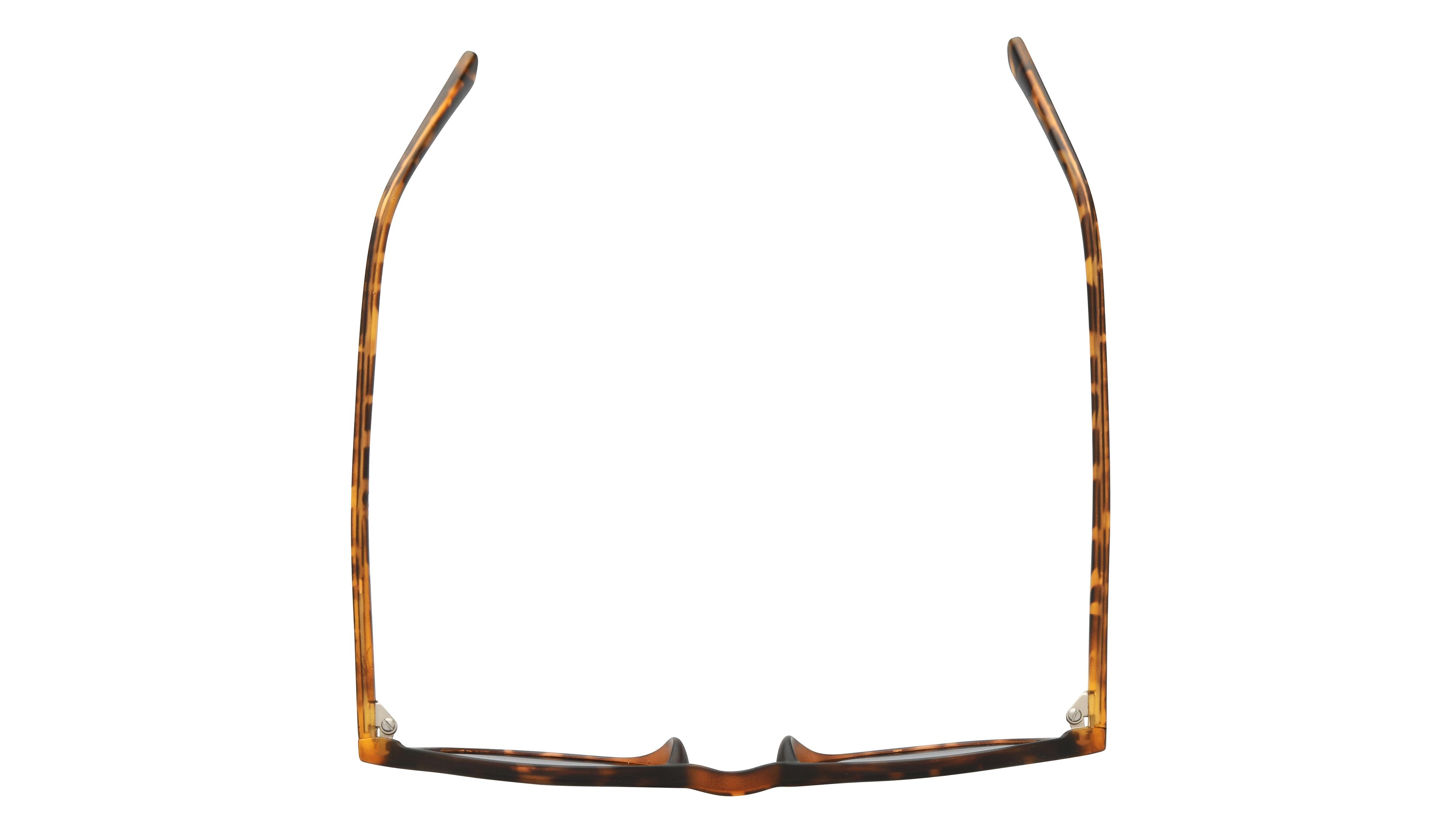 Lunettes de soleil Alternance Enfant Ecaille Pantos alt25220 Dessus