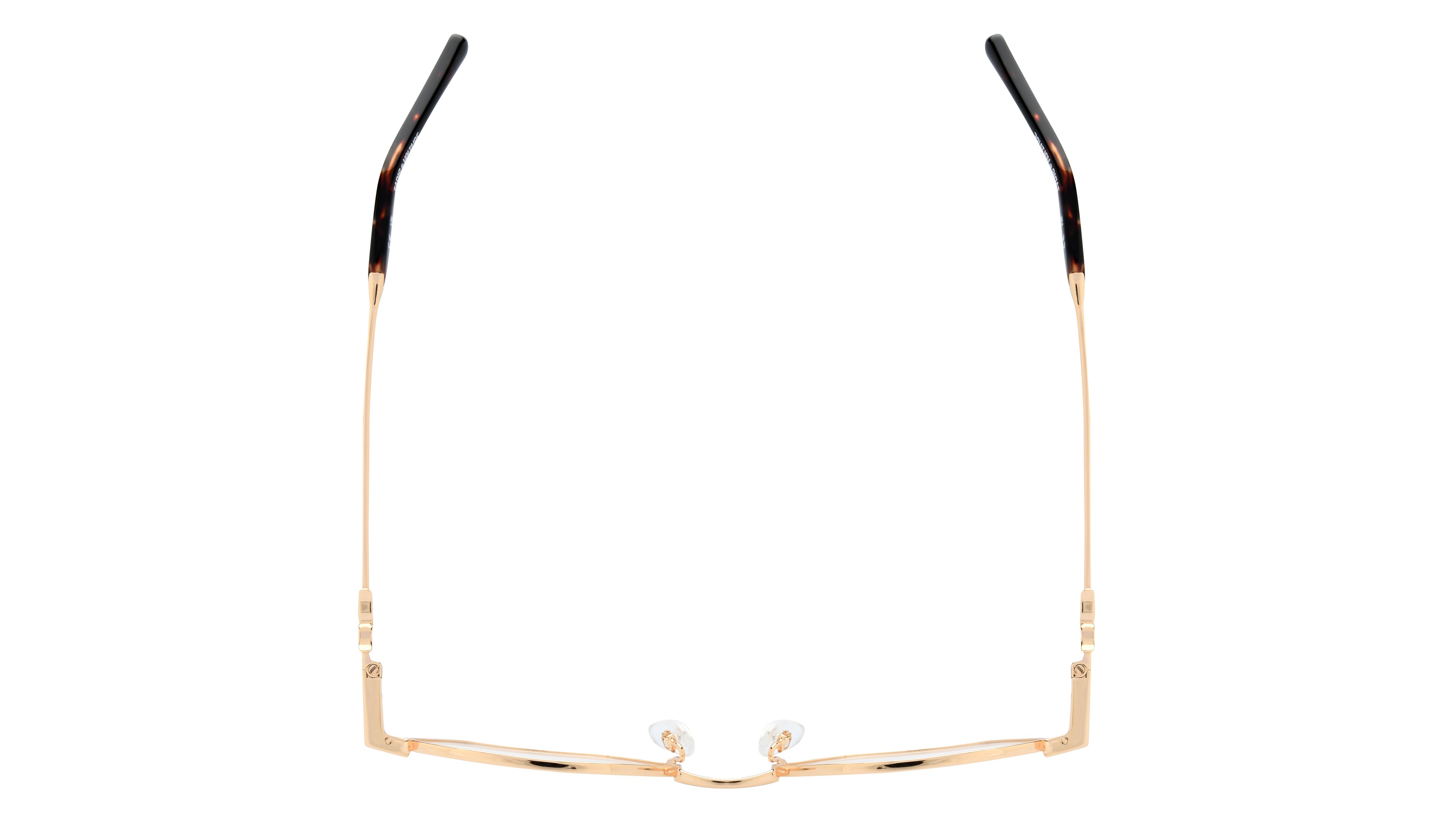 Lunettes de vue Zadig & Voltaire Femme Or Ovale Vzv394 Dessus