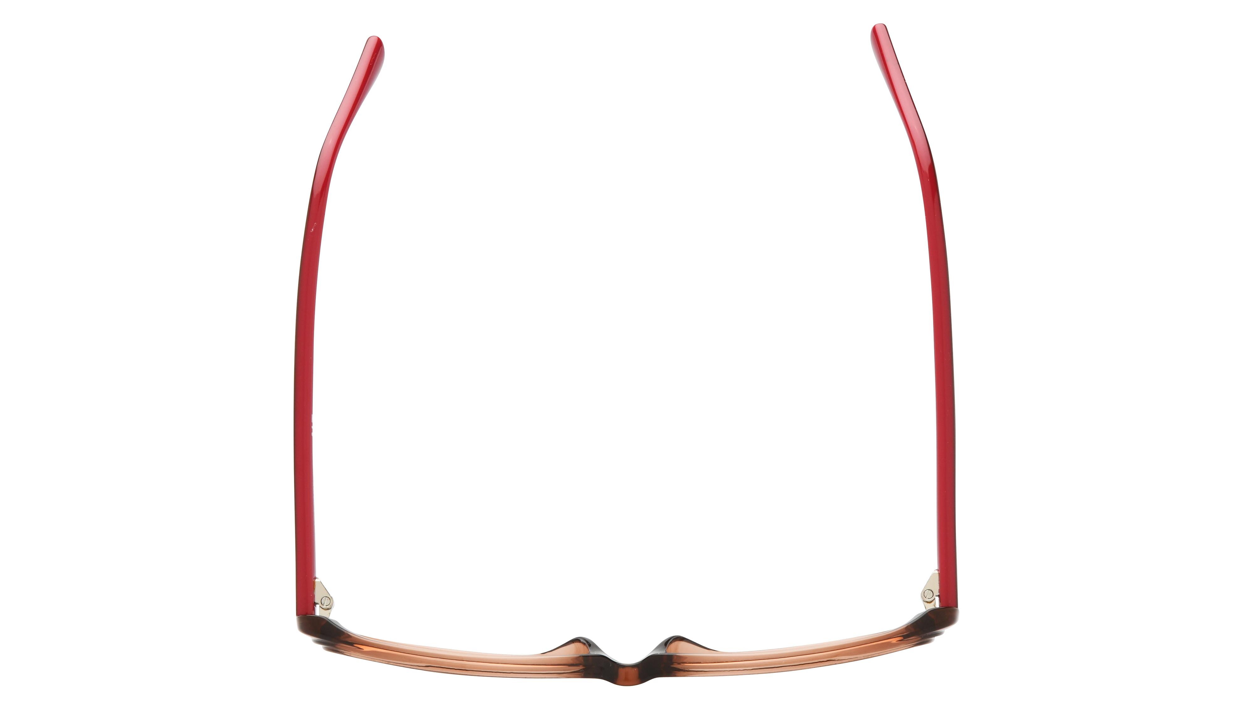 Lunettes de vue Alternance Femme Marron Rectangle alt25112 Dessus
