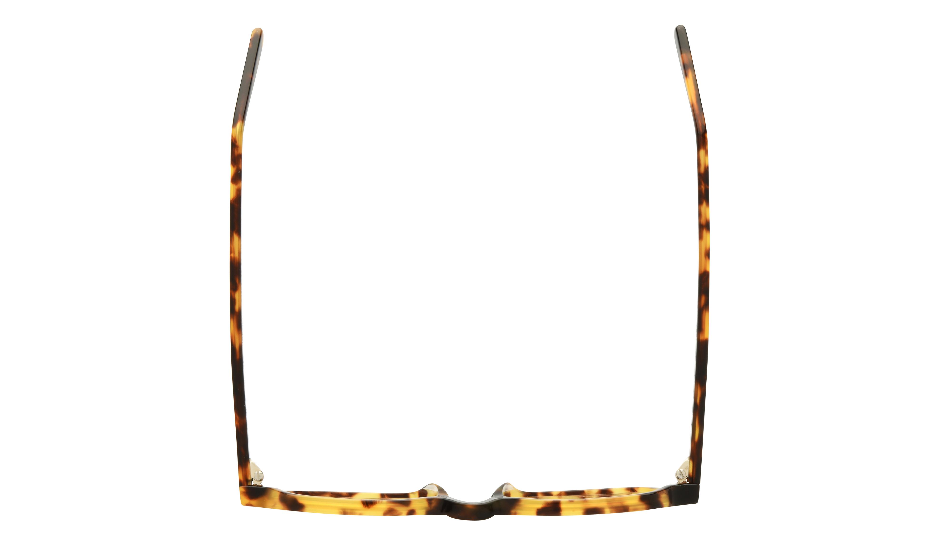 Lunettes de vue La Collection des Lunetiers Enfant Ecaille Angulaire MINI Dessus