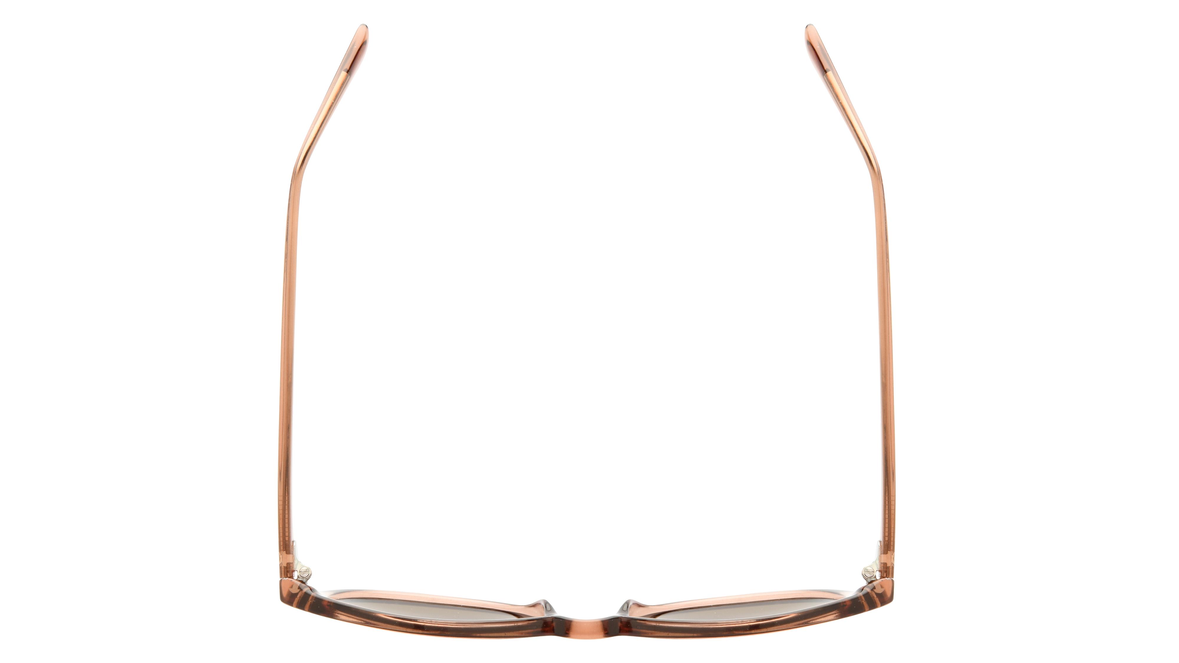 Lunettes de soleil Alternance Femme Marron Papillon Alt24201 Dessus
