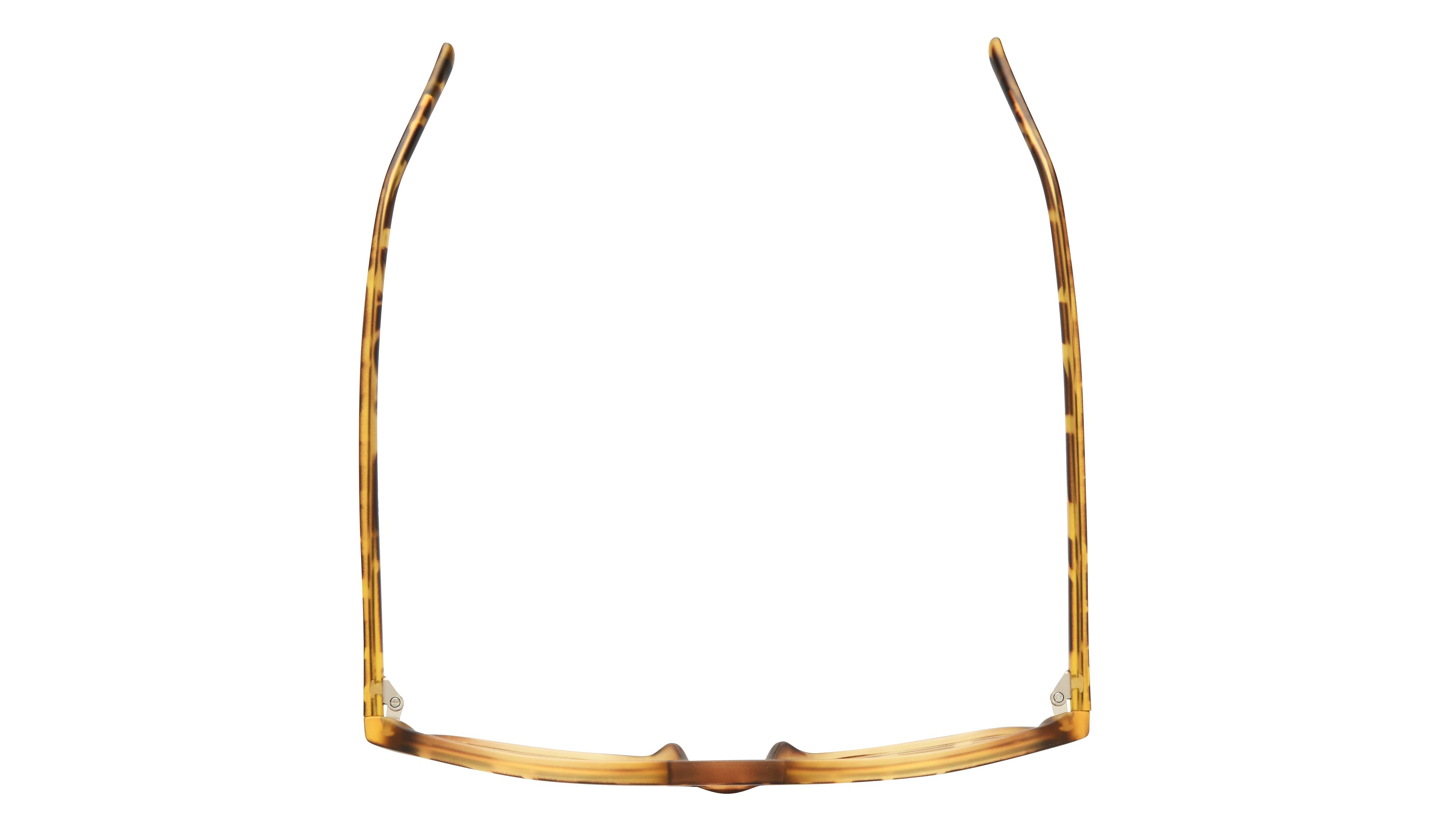 Lunettes de vue Alternance Homme Ecaille Aviateur alt25116 Dessus