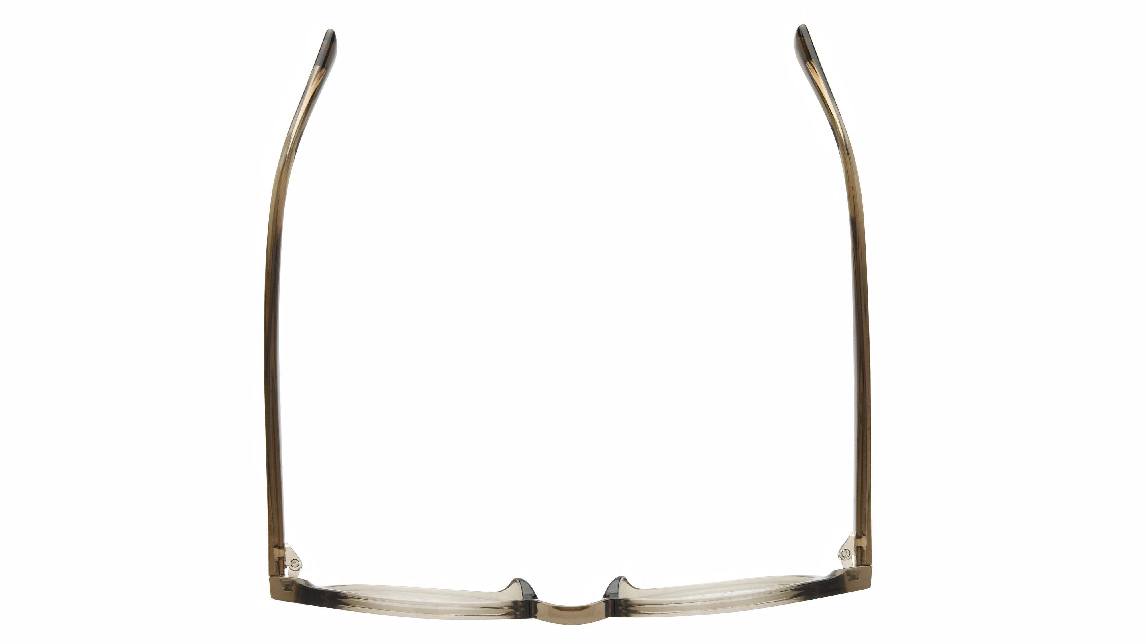 Lunettes de vue têtes à TETES Homme Marron Pantos tat2604 Dessus