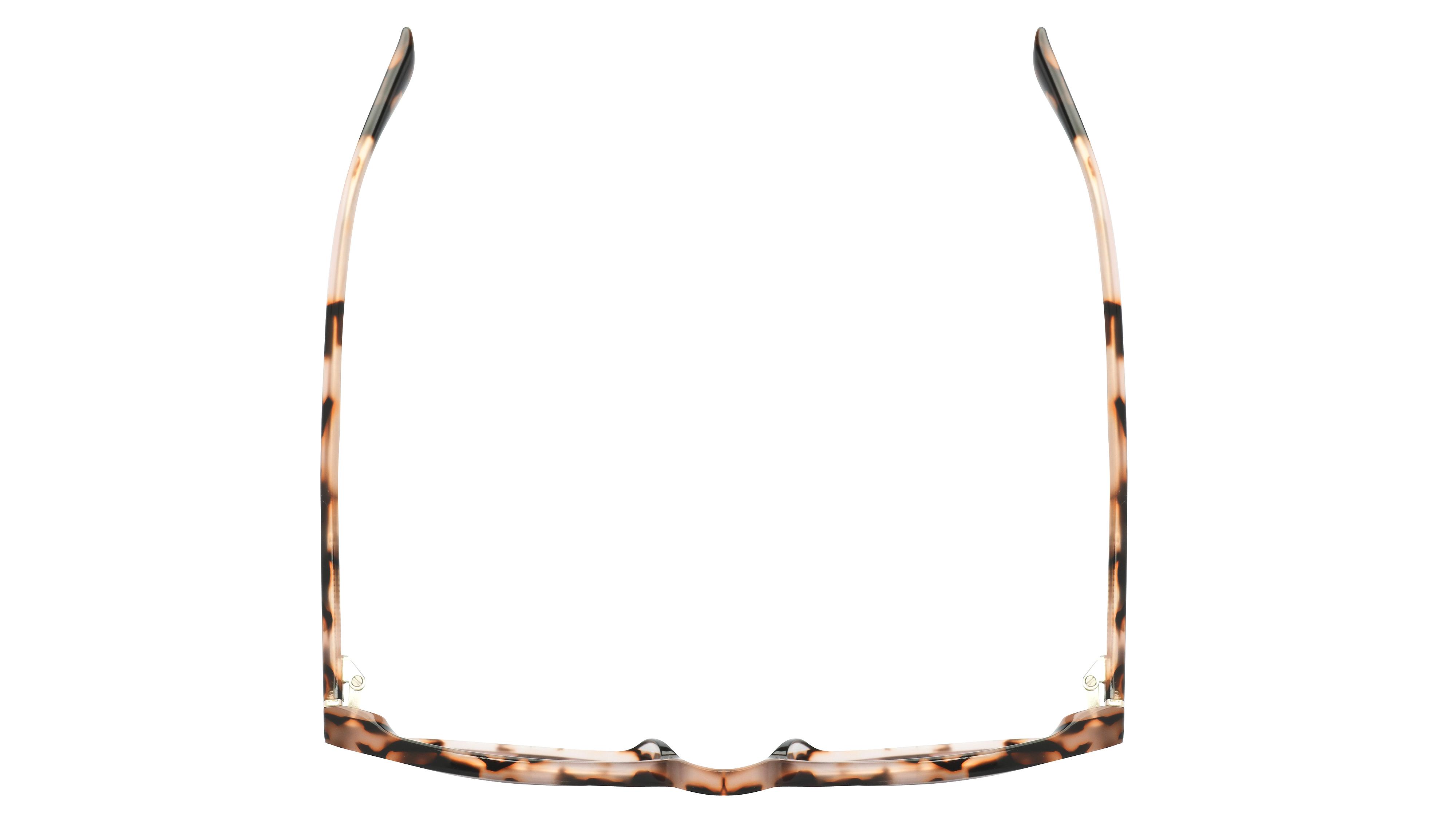 Lunettes de soleil Pol&Sun Femme Ecaille Papillon Pos2107 Dessus