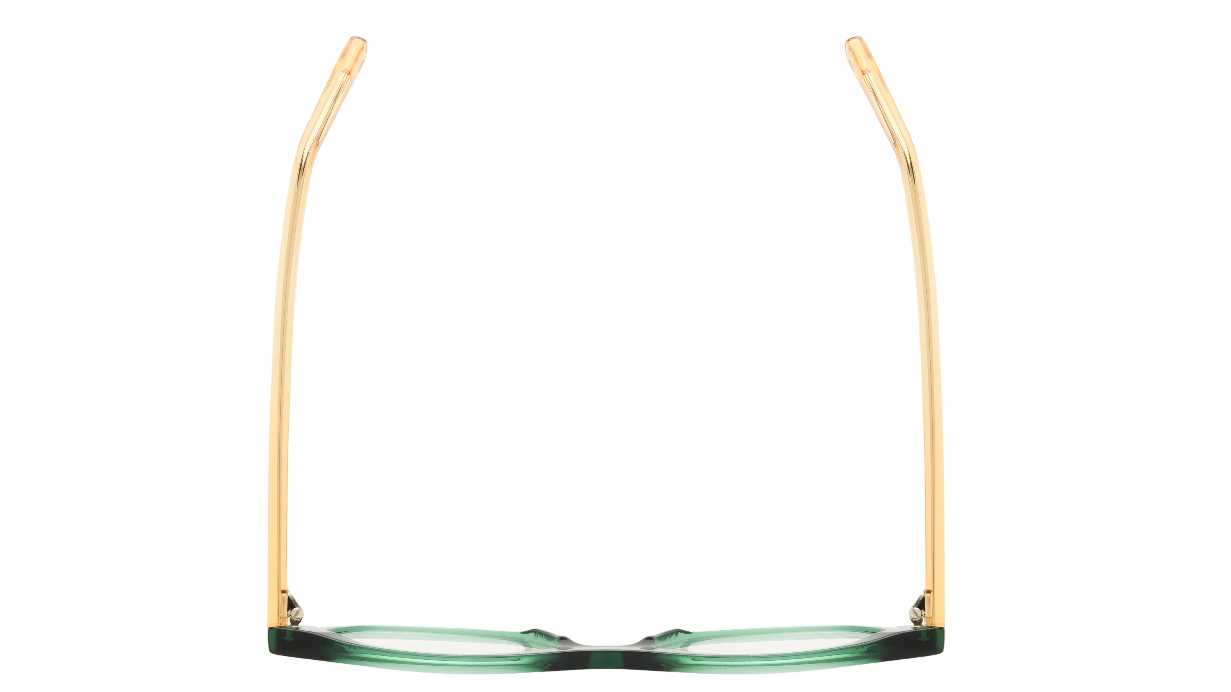 Lunettes de vue La Collection des Lunetiers Femme Vert Wayfarer MELODY Dessus