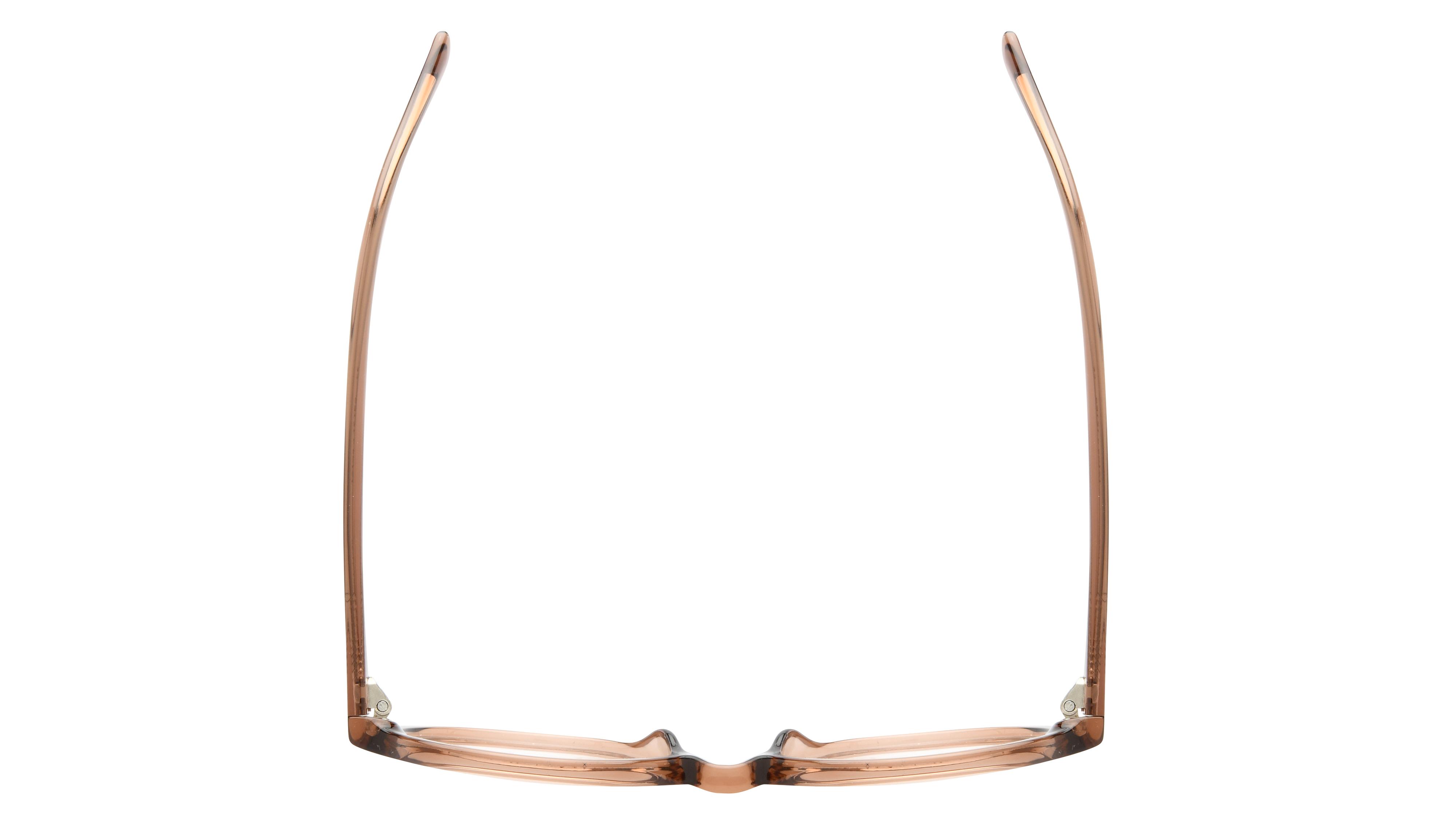 Lunettes de vue têtes à TETES Femme Marron Carré Tat2401 Dessus
