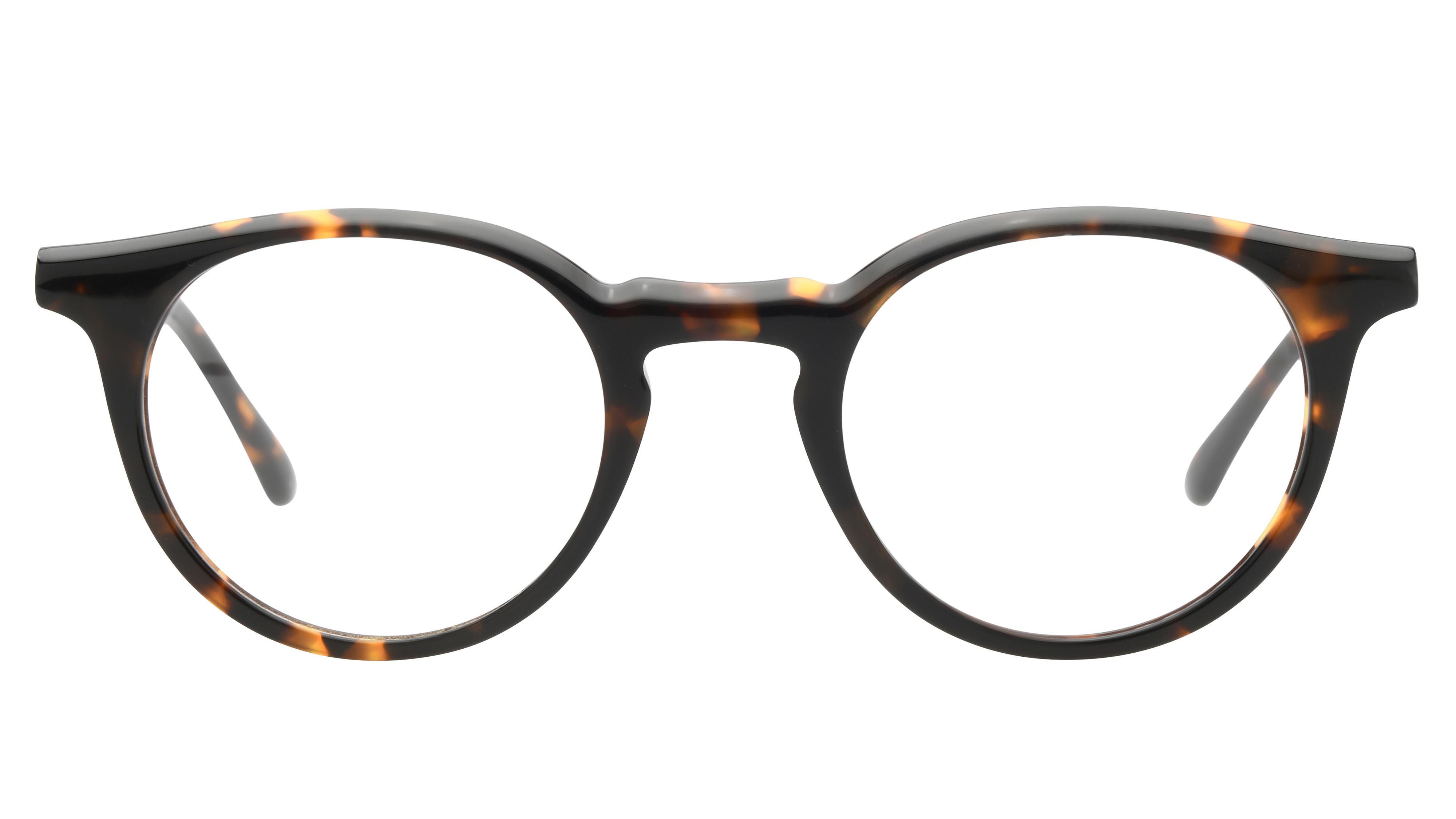 Lunettes de vue The Bicycle Homme Ecaille Pantos Bic2405 Face