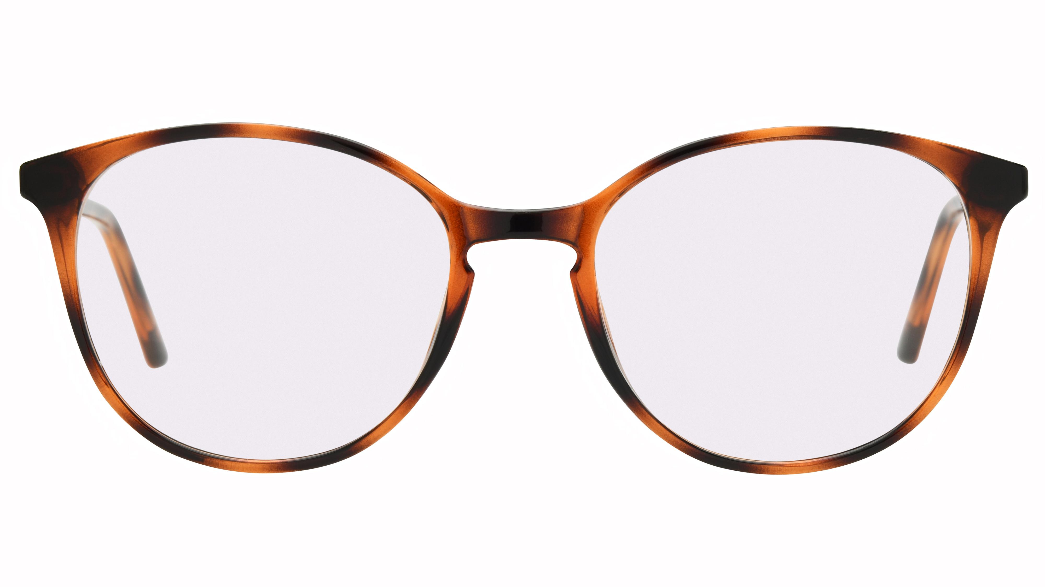 Lunettes de vue têtes à TETES Femme Ecaille Pantos tat2104 Face