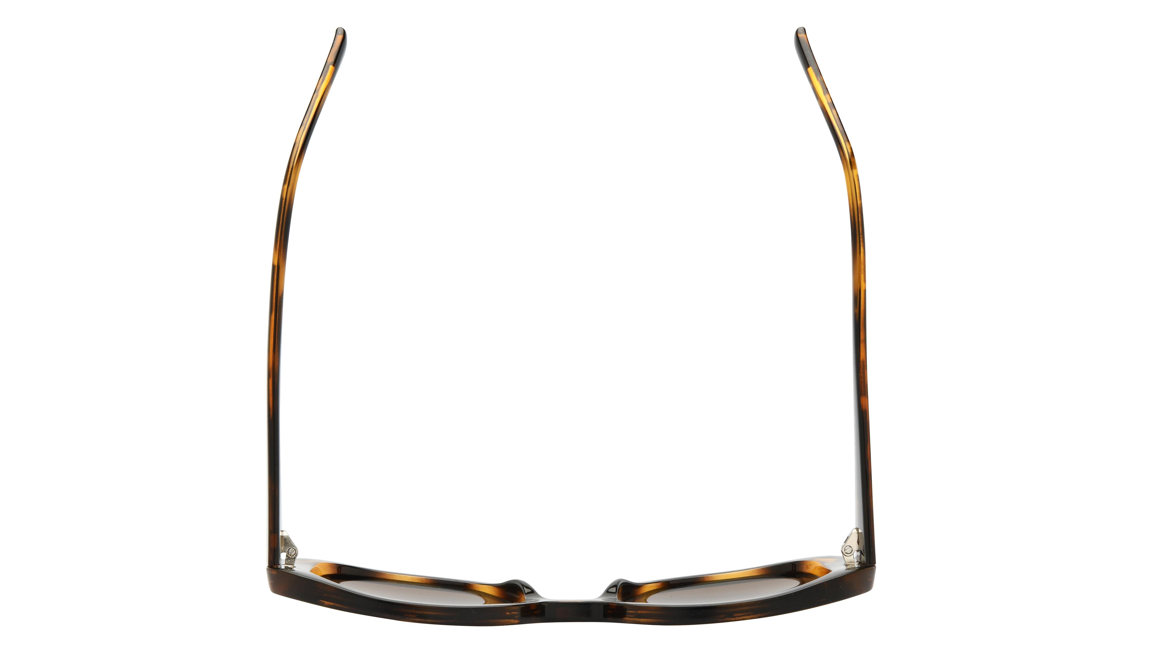 Lunettes de soleil Alternance Femme Ecaille Rectangle alt25214 Dessus