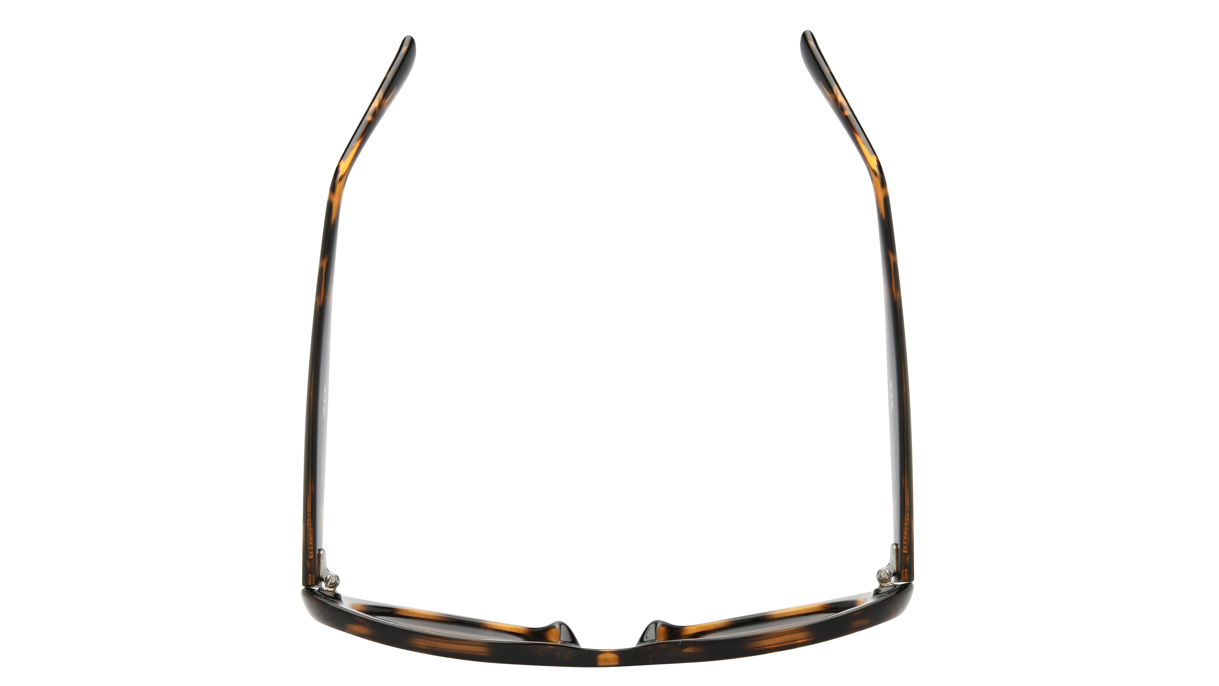 Lunettes de soleil Alternance Femme Ecaille Ovale alt25217 Dessus