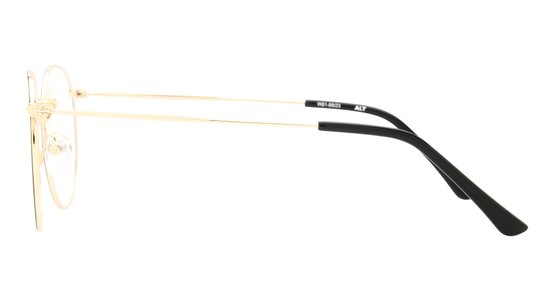 Lunettes de vue Alternance Mixte Or Ronde Alt24103 Gauche