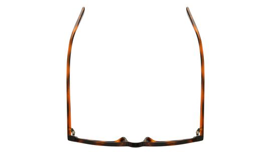 Lunettes de soleil Alternance Femme Ecaille Ovale Alt26206 Dessus