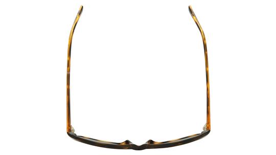 Lunettes de soleil Alternance Femme Ecaille Rectangle alt18205 Dessus