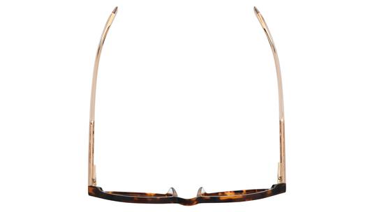 Lunettes de vue Zadig & Voltaire Femme Ecaille Pantos VZV499 Dessus