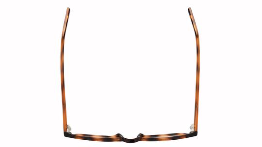 Lunettes de vue têtes à TETES Femme Ecaille Pantos tat2104 Dessus
