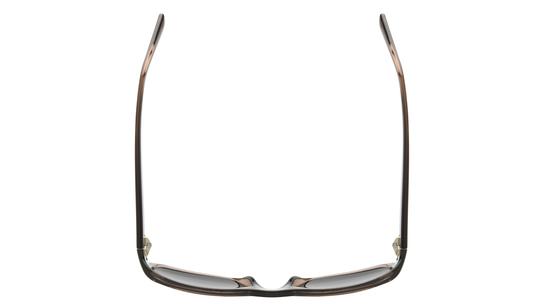 Lunettes de soleil Alternance Homme Marron Rectangle alt25218 Dessus