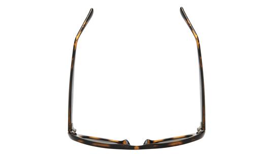 Lunettes de soleil Alternance Femme Ecaille Ovale alt25217 Dessus